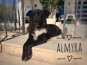 Almyra